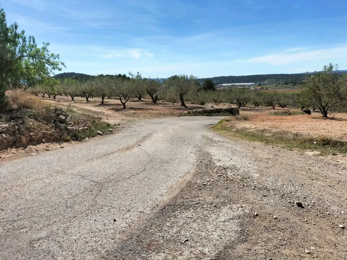 Terreno rustico in vendita a Navarrés, imagen 28