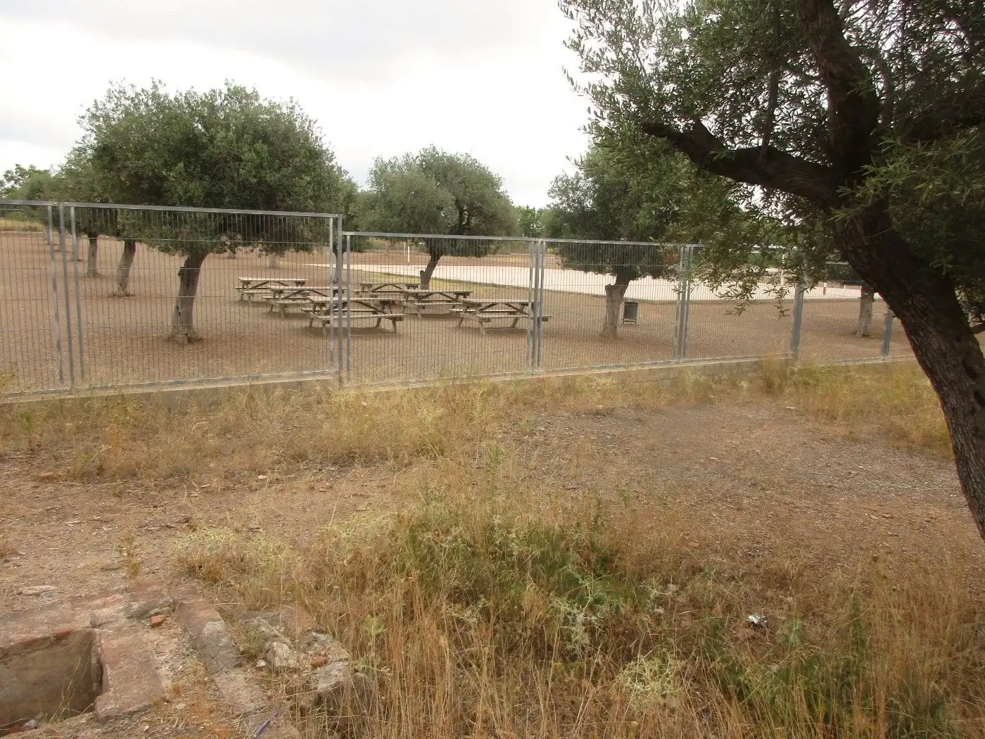 Wohnbaugrundstück zum Verkauf in Carretera Institut Pere Mata 1, imagen 16