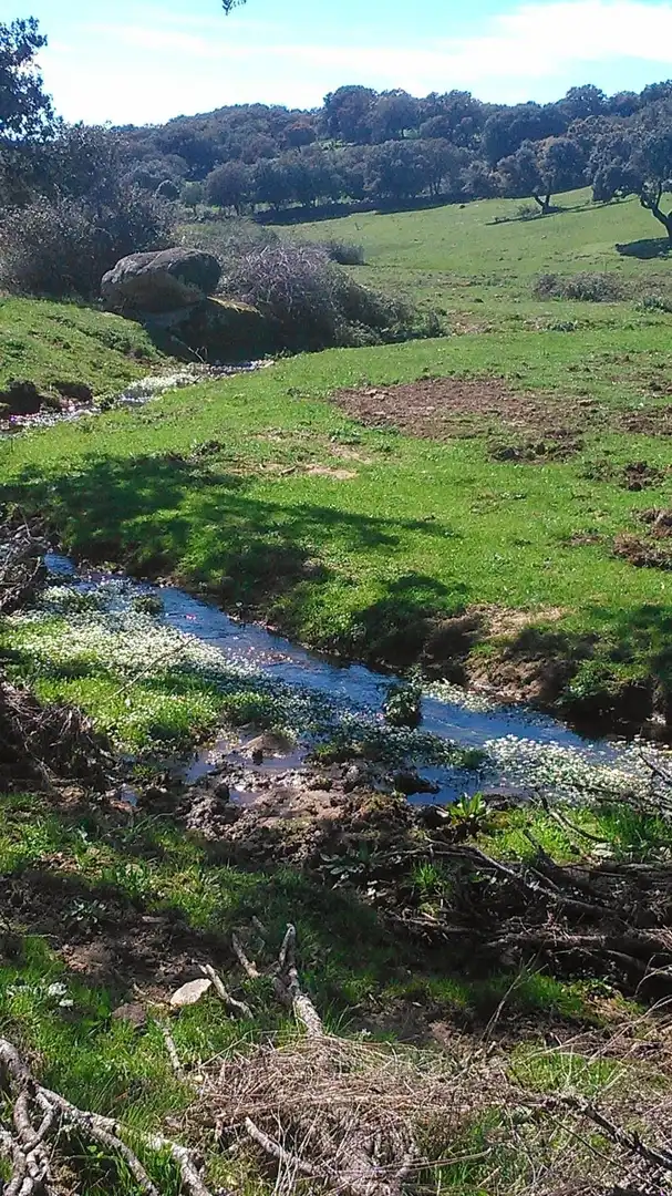 Jardín de Terreno en venta en Navamorcuende