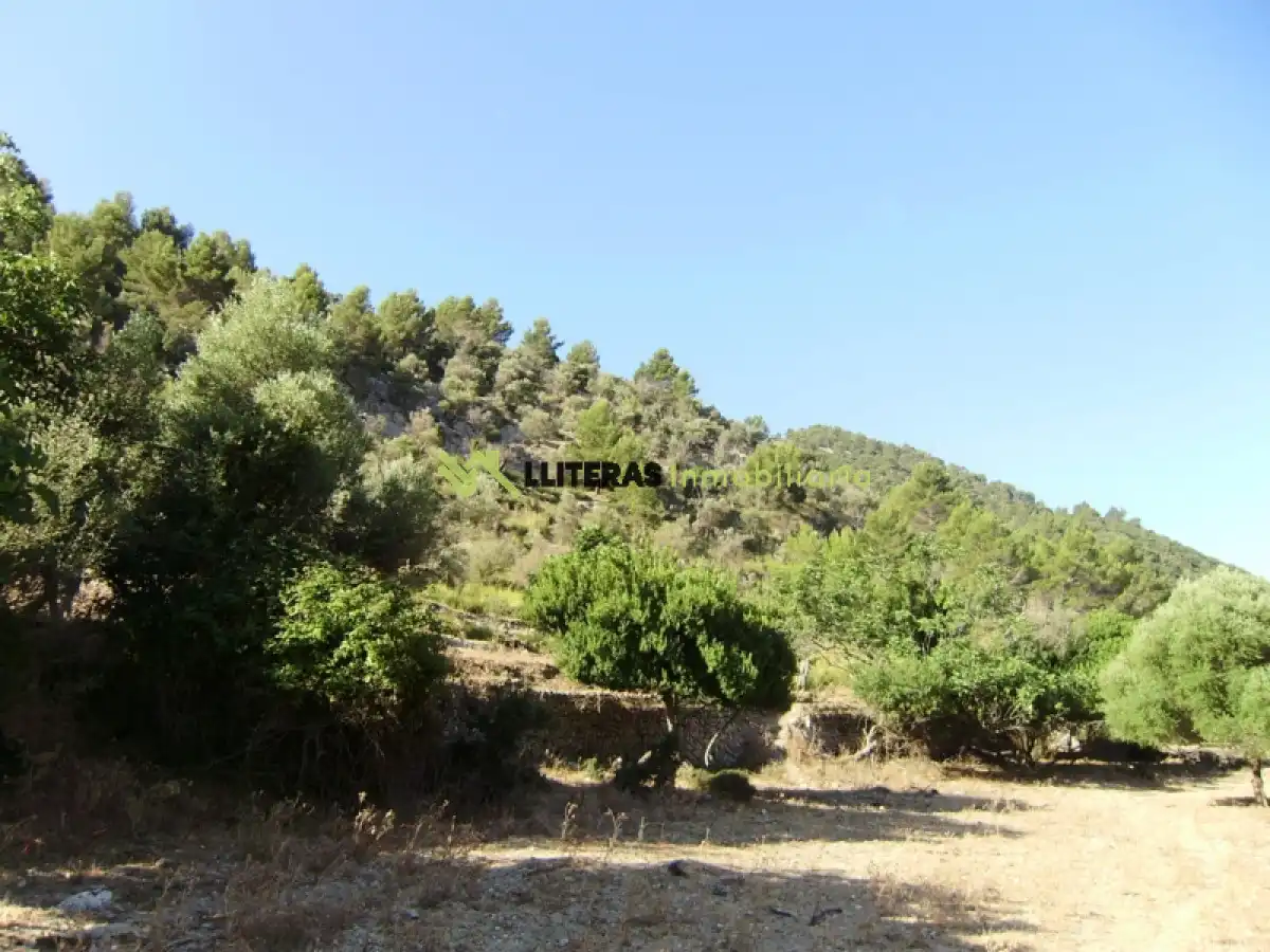 Maison rustique à vendre à Bunyola, imagen 5