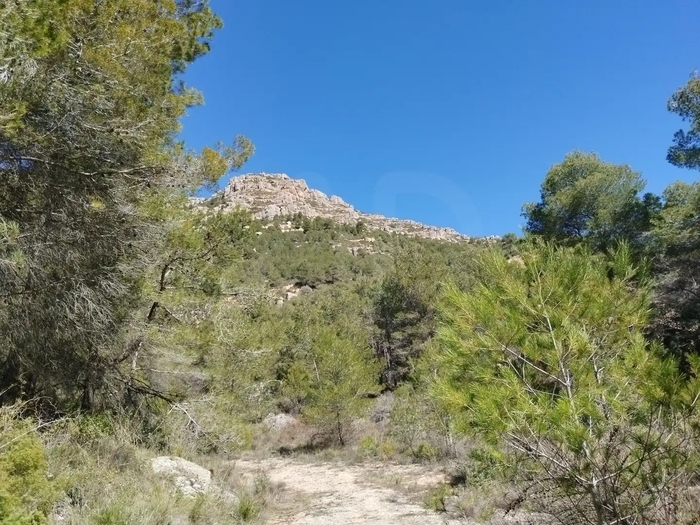 Terreno en venta en La Morera de Montsant