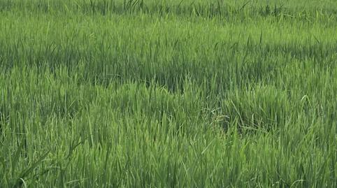 Photo 3 of Land for sale in Casc Antic, Tarragona