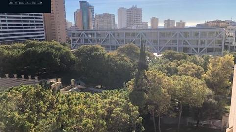 Foto 4 de Apartament de lloguer a Centro Urbano, Benidorm