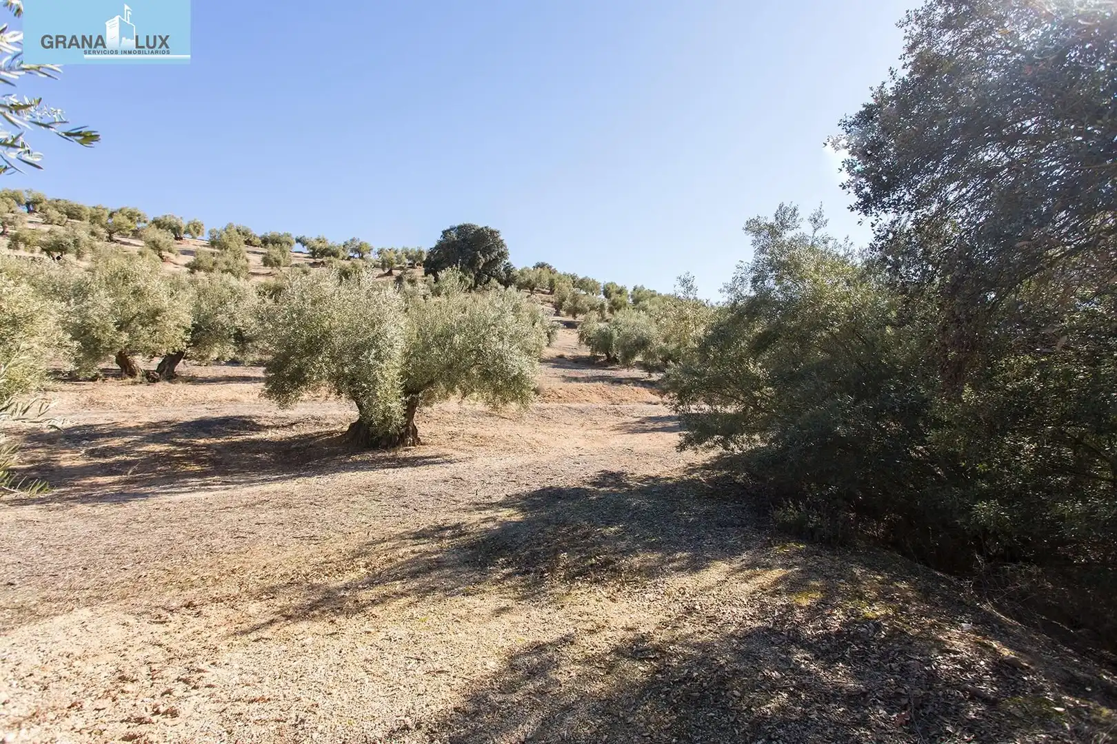 Land for sale in Campotéjar