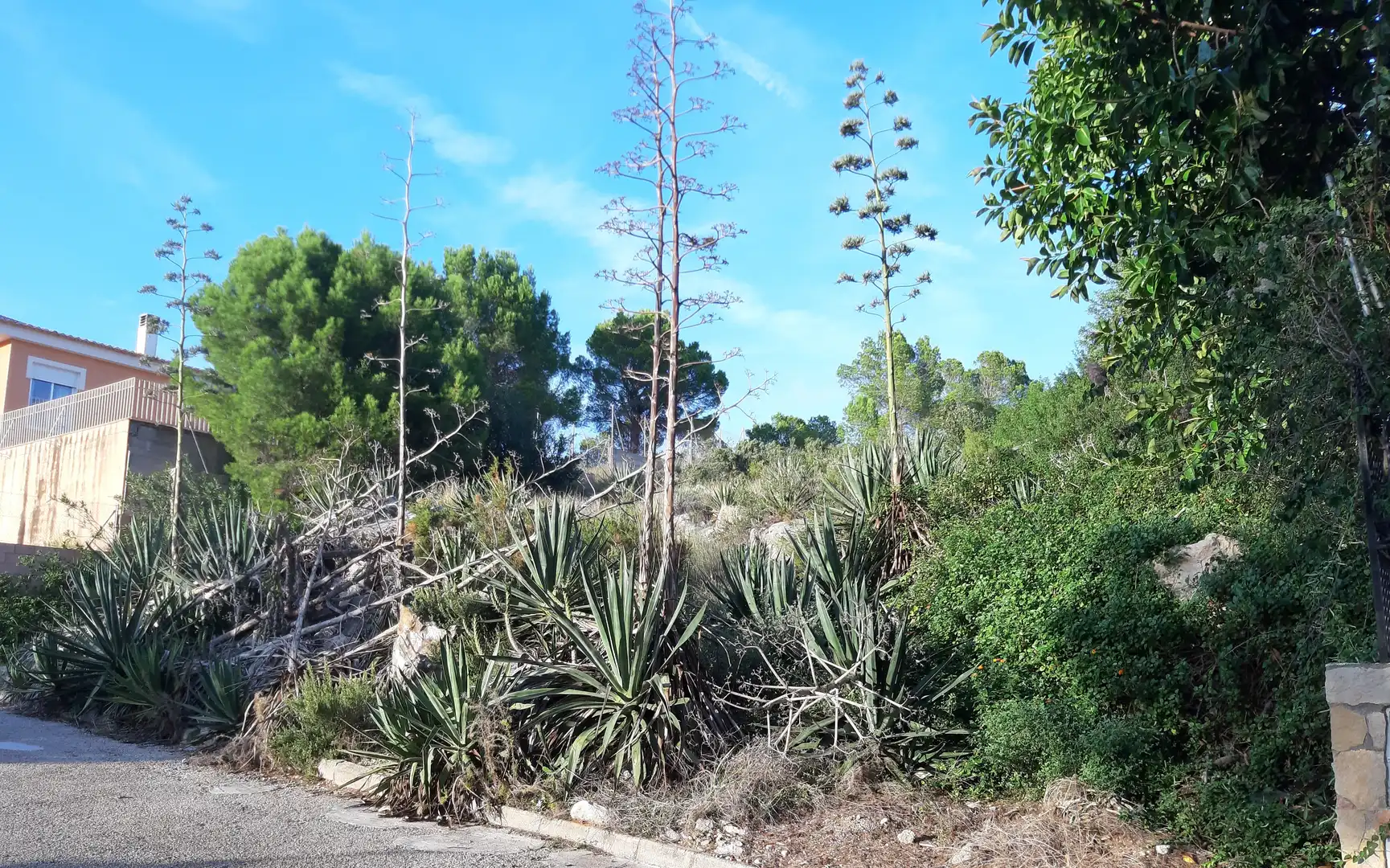 Terreno residencial en venta en Urbanización Santa Marta 38, imagen 6