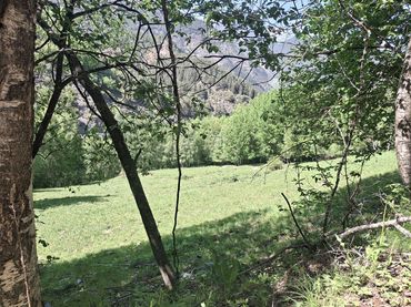 Terrenys i solars en venda a Camí dels Agrels