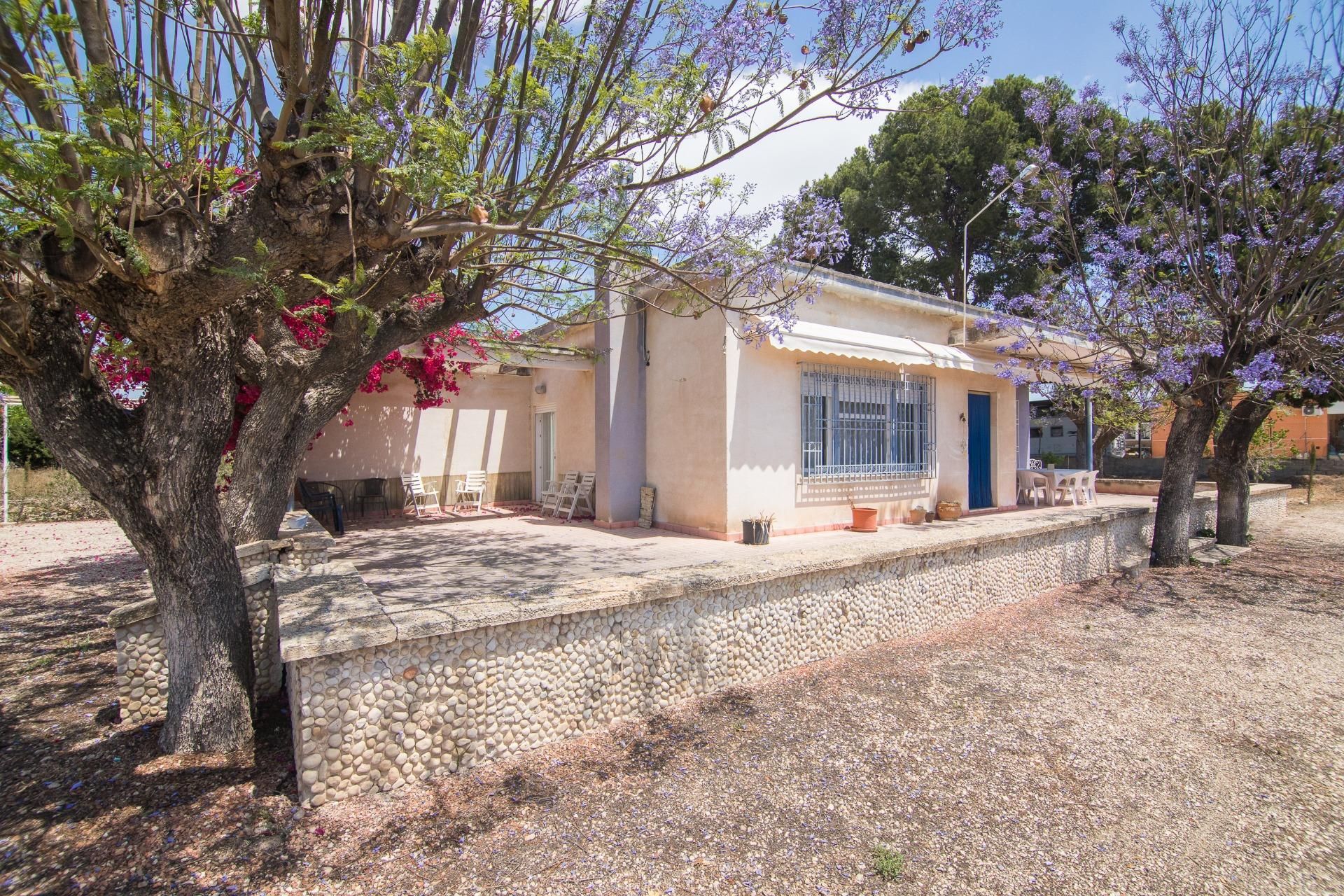 Exterior view of House or chalet for sale in Elche / Elx  with Heating, Private garden and Terrace