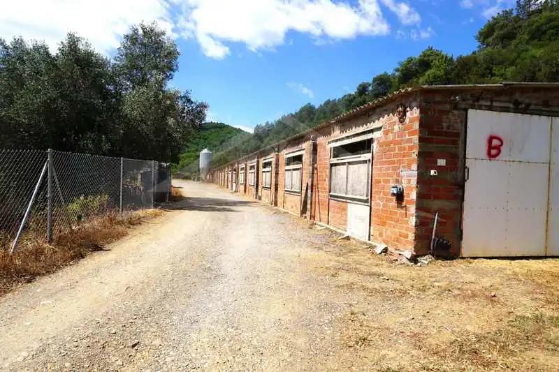 Vista exterior de Finca rústica en venda en Brunyola i Sant Martí Sapresa amb Calefacció, Jardí privat i Terrassa