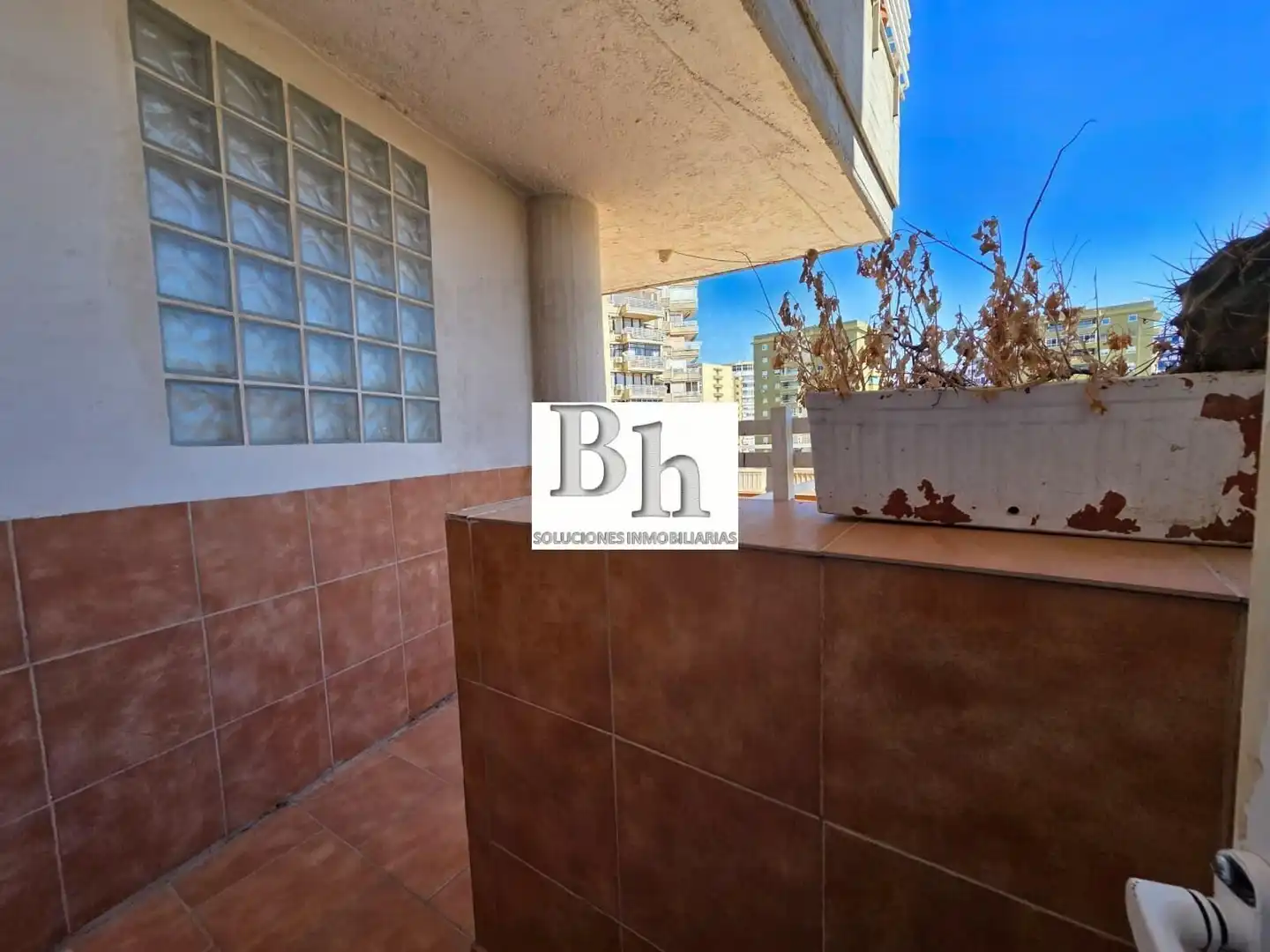 Piso con piscina en venta en Centro, imagen 45