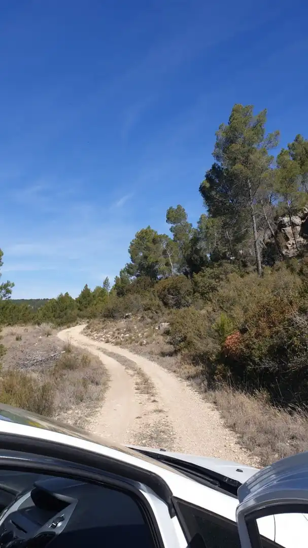 Terrain résidentiel à vendre à Requena, imagen 11