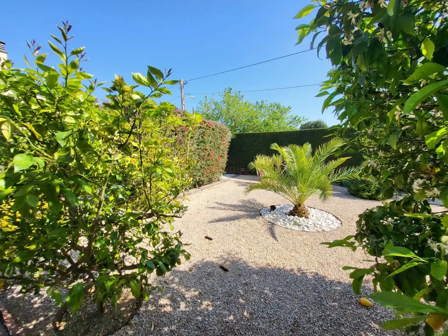 Detached house with pool for sale in Calle de Juli Cèsar, imagen 101
