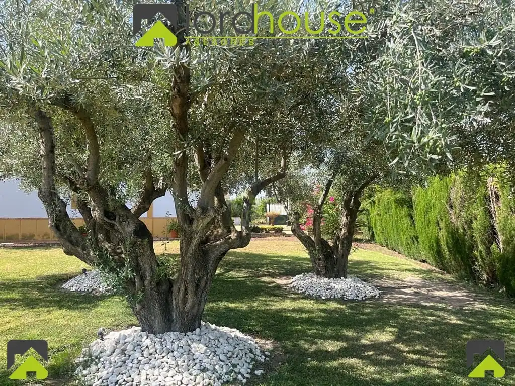 Garden of Houses for sale in Lorca