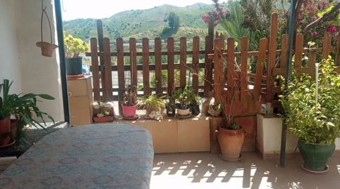 Foto 2 de Finca rústica en venda a Almáchar, Málaga