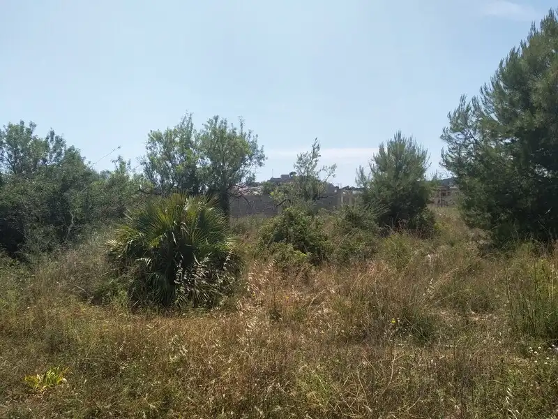 Terreny residencial en venda a Proc. Simplificado, imagen 4