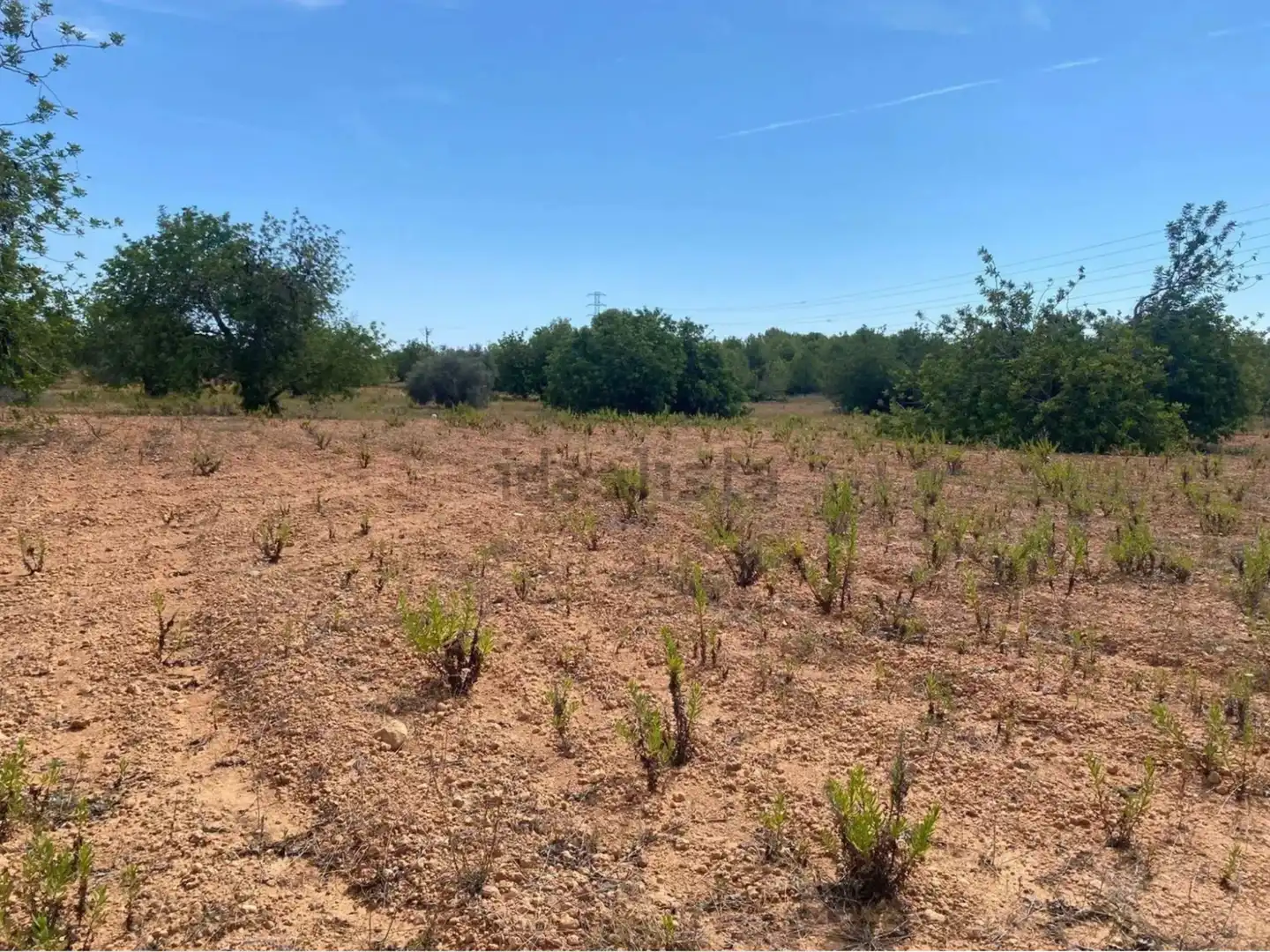 Rural land for sale in Extrarradio Diseminado 1, imagen 5