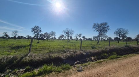 Foto 2 von Grundstücke zum Verkauf in Carrascal del Obispo, Salamanca