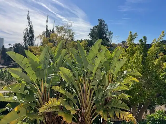Vista exterior de Piso en venta en Marbella con Aire acondicionado, Jardín privado y Terraza