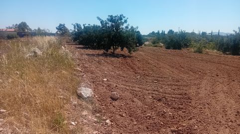 Foto 5 de Terreno en venta en Pasaje Los Segados, 13, Los Médicos, Cartagena