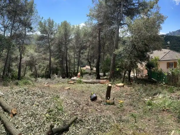 Terreny residencial en venda a Carrer Mont Perdut 8, imagen 5