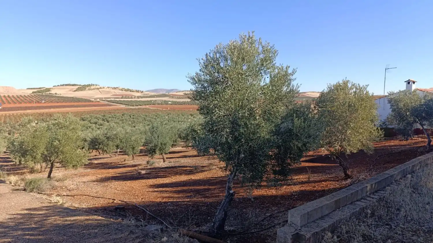 Casa rústica en venda a Valdepeñas, imagen 43