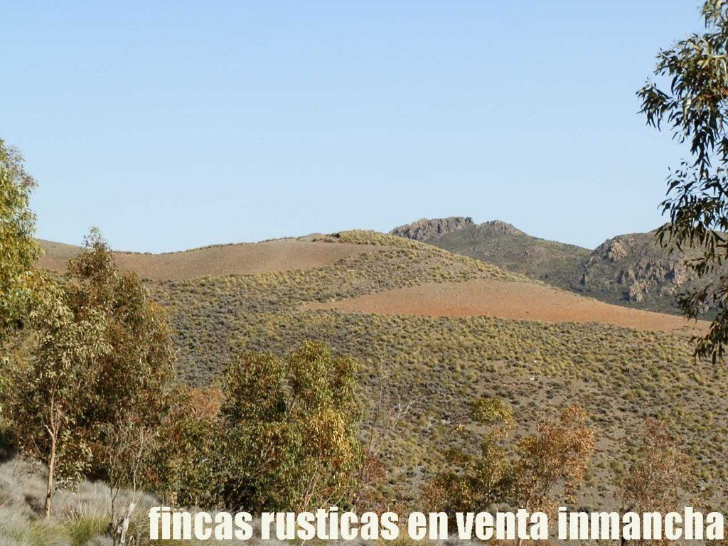 Land for sale in Pechina