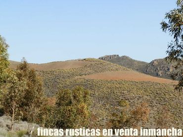 Terreny rústic en venda a Pechina