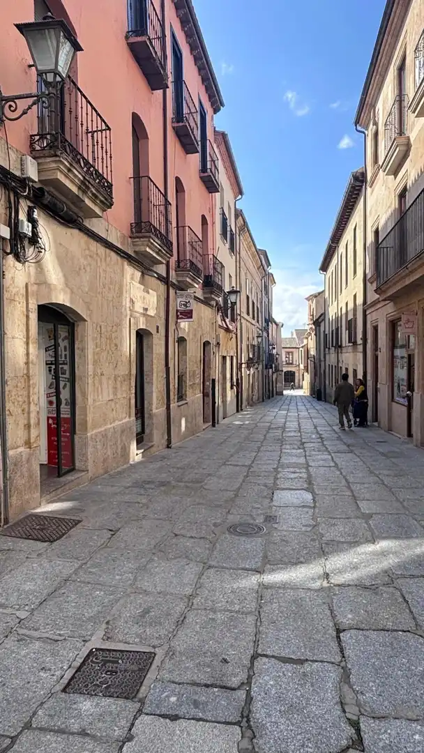 Exterior view of Commercial properties for sale in Salamanca
