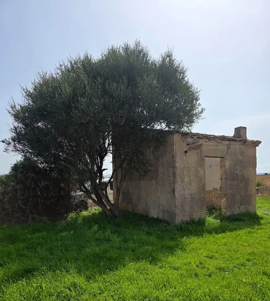 Land for sale in Porreres