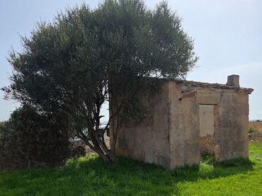 Terreno rustico in vendita a N/A