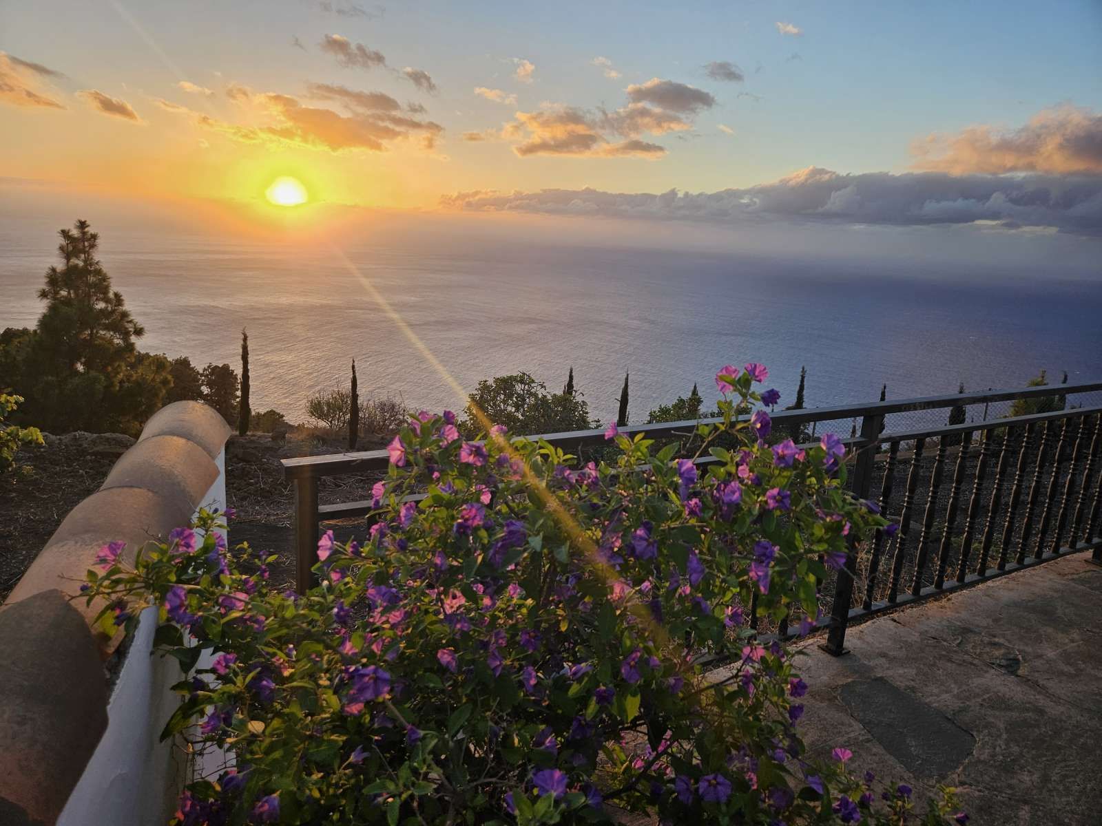 Jardín de Apartamento para compartir en Puntagorda con Aire acondicionado, Terraza y Amueblado