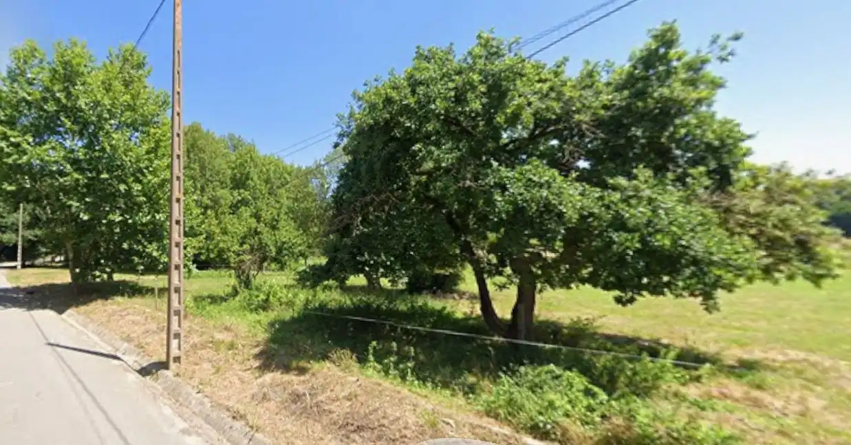 Terreni e lotti in vendita a Galizano, imagen 6