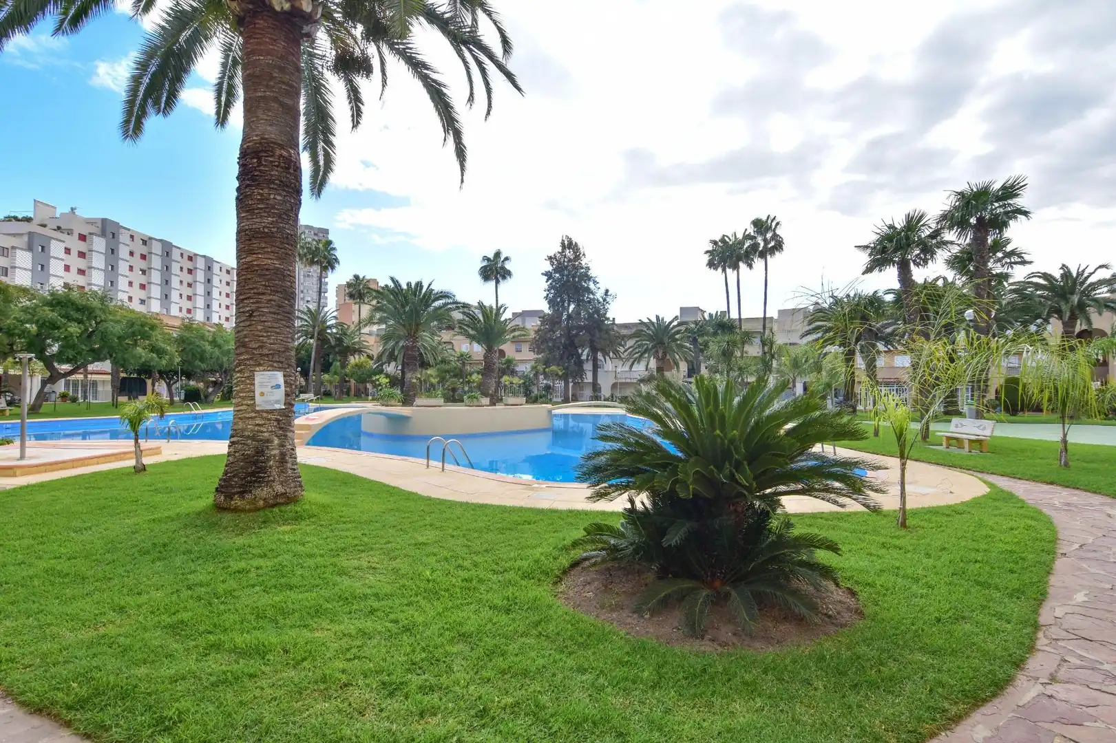 Mini appartamento con terrazza in affitto a Avenida MAR, imagen 33