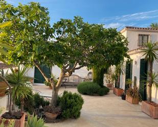 Garden of House or chalet for sale in Montejaque  with Air Conditioner, Terrace and Balcony