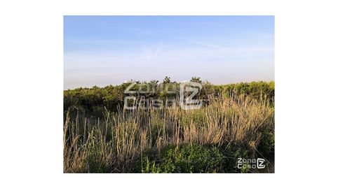 Photo 5 of Country homes for sale in Pol.7 Parc. 43, Algemesí, Valencia