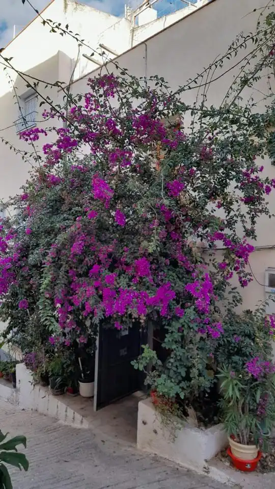 House for sale in Carrer de les Roques