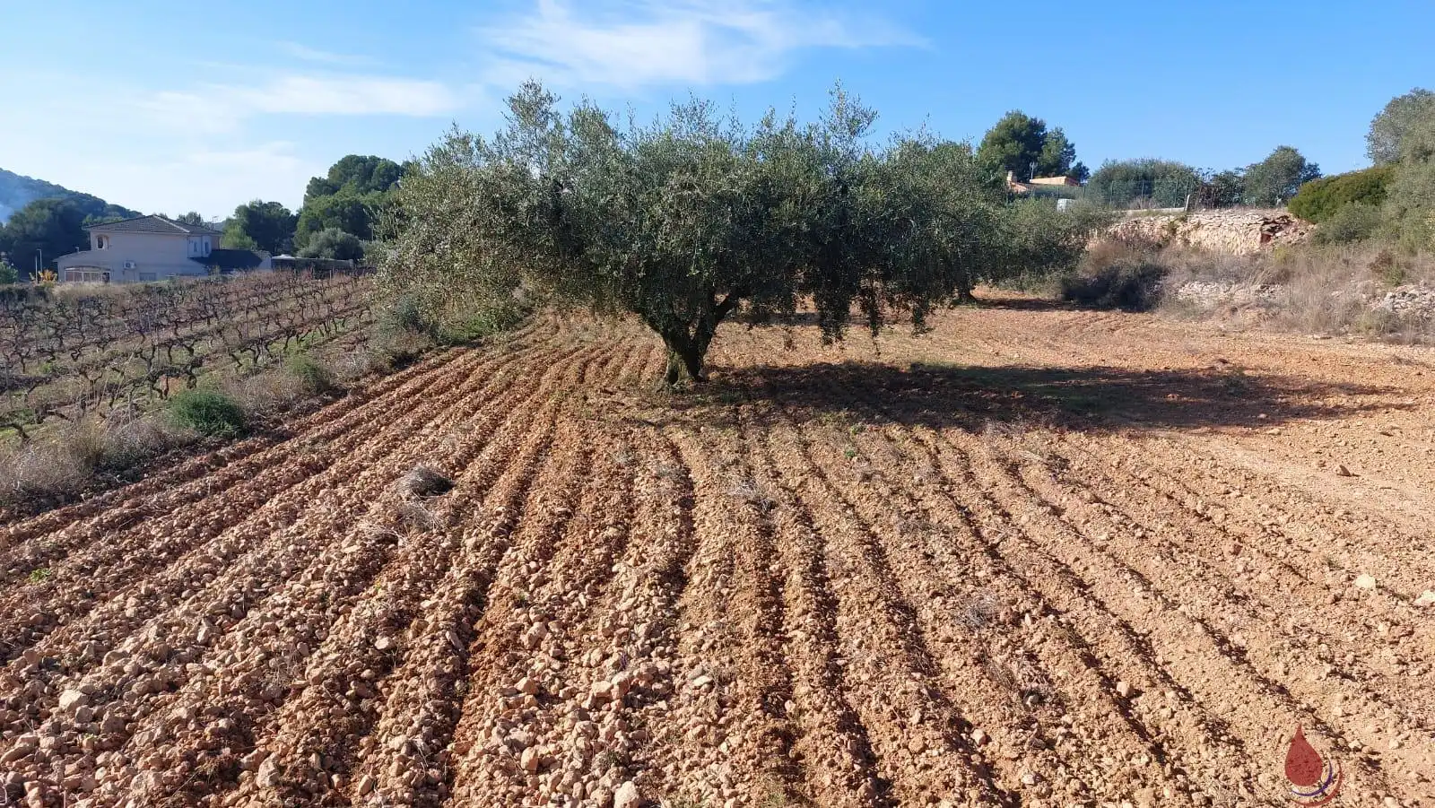 Terrenys i solars en venda a av mar, imagen 8