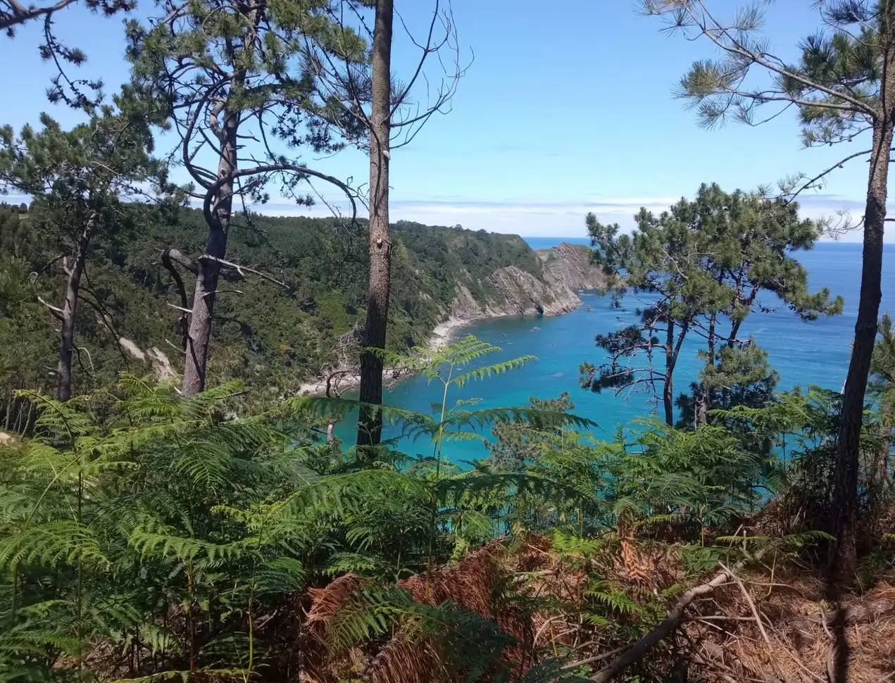 Vista exterior de Piso en venta en Cudillero con Amueblado, Horno y Lavadora