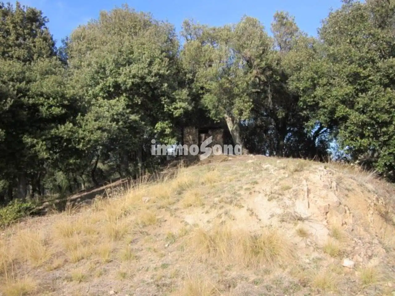 Terreno rústico en venta en Sant Hilari Sacalm, imagen 12