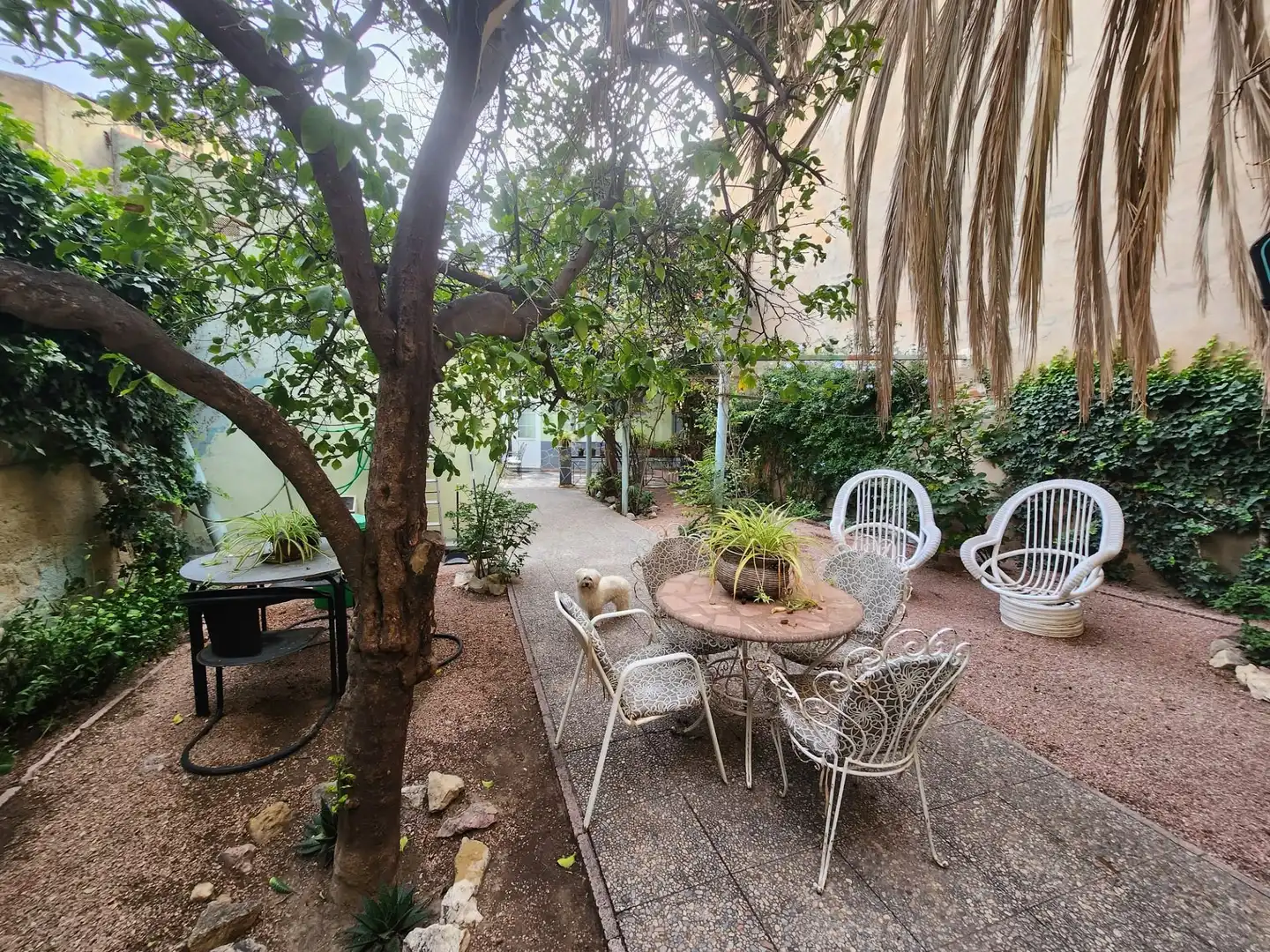 Terraced house for sale in Monóvar  / Monòver, imagen 6