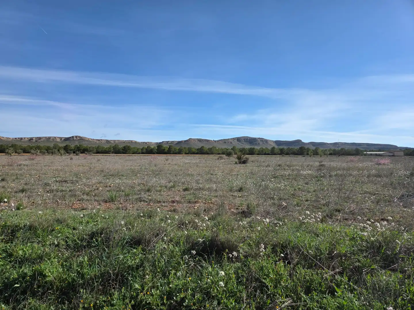 Residential land for sale in Yecla
