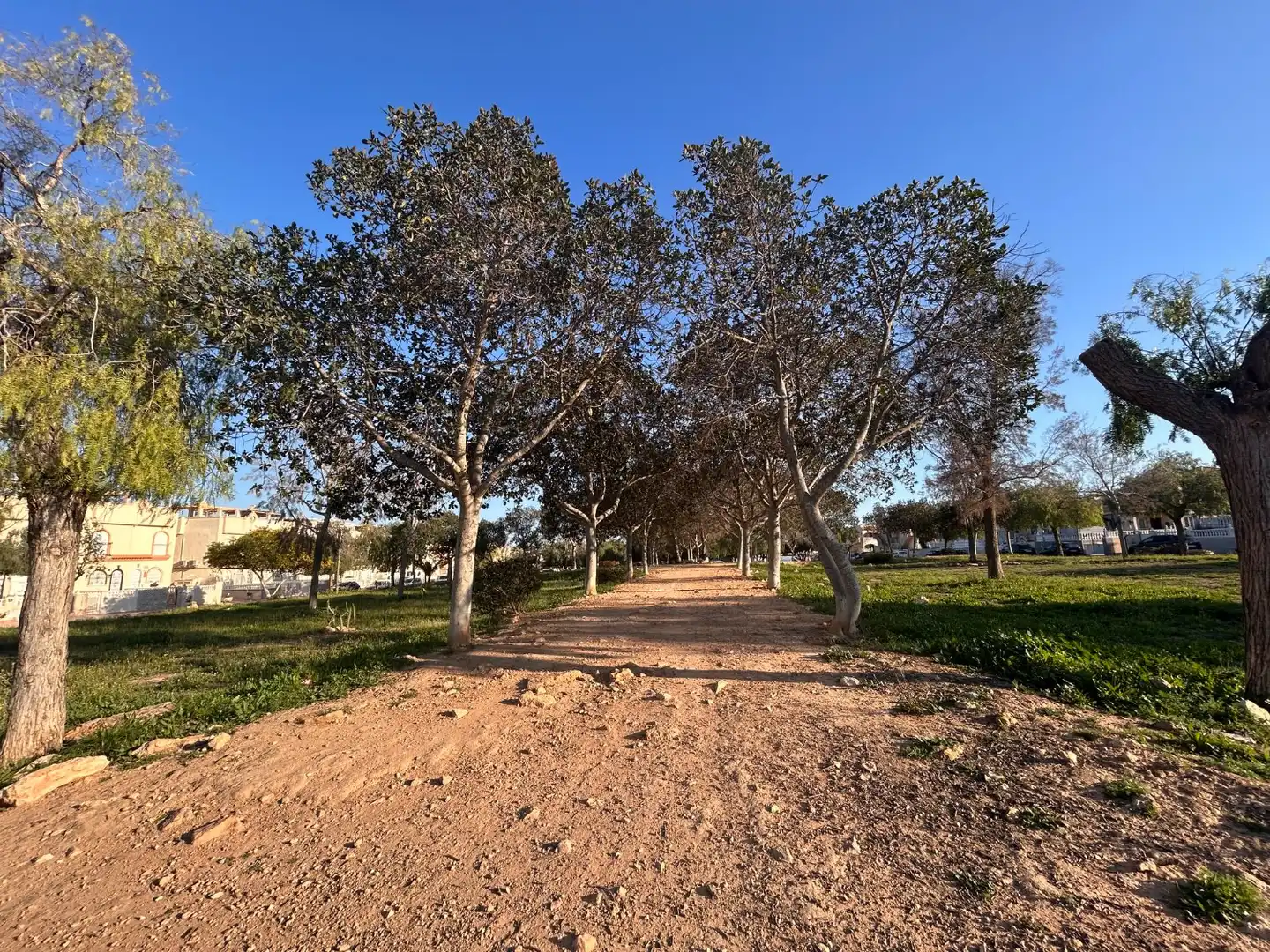 Vista exterior de Apartament en venda en Orihuela amb Aire condicionat, Moblat i Internet