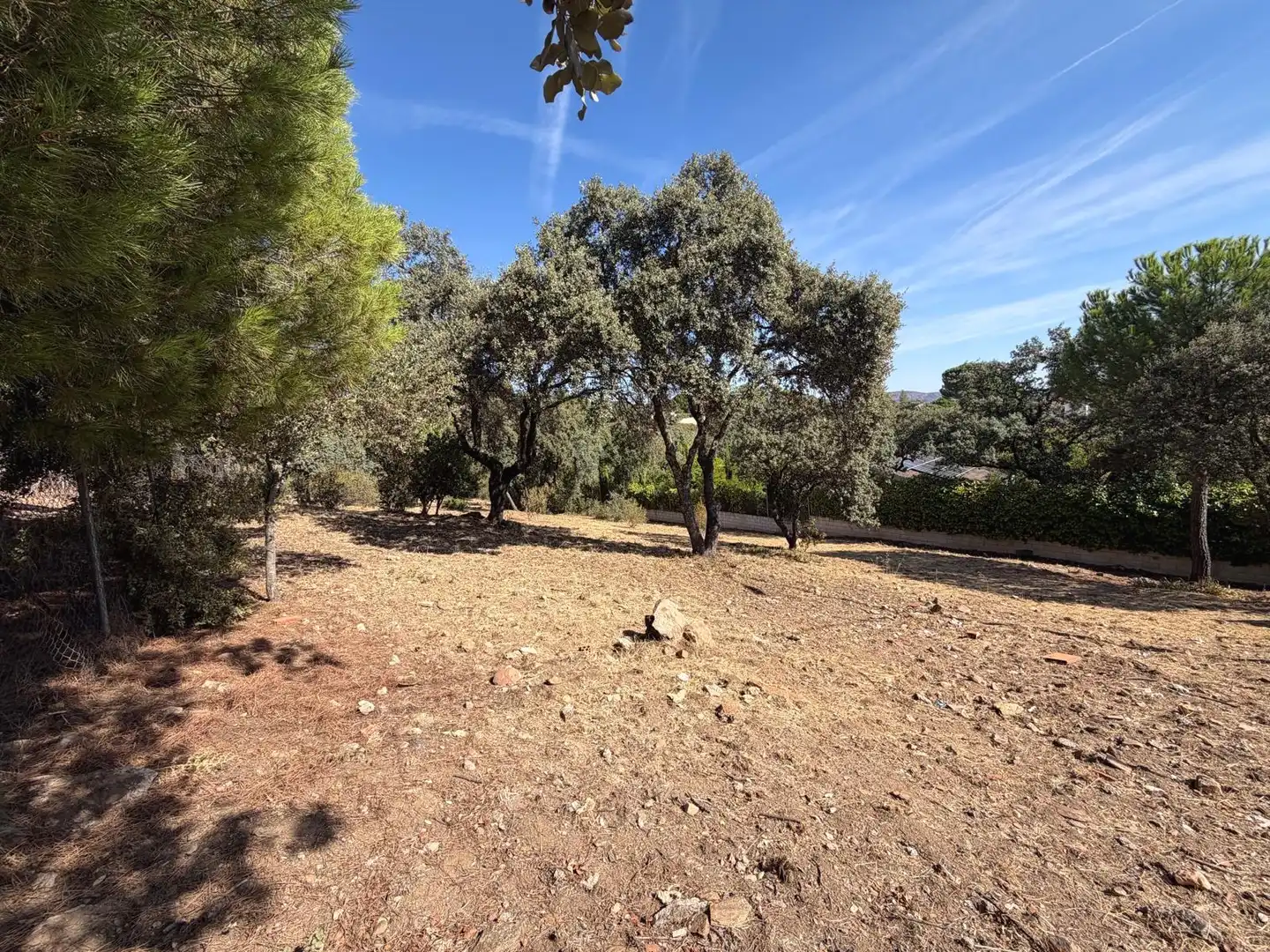 Residential land for sale in Villa del Prado, imagen 3