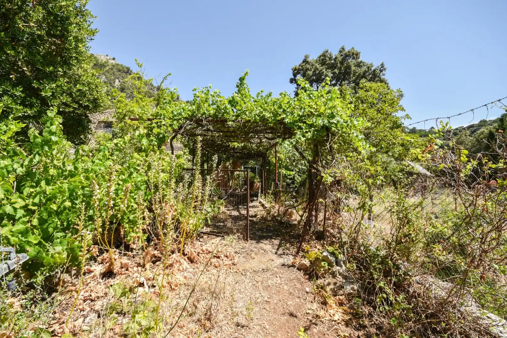 Finca rústica en venta en Puigpunyent con Trastero