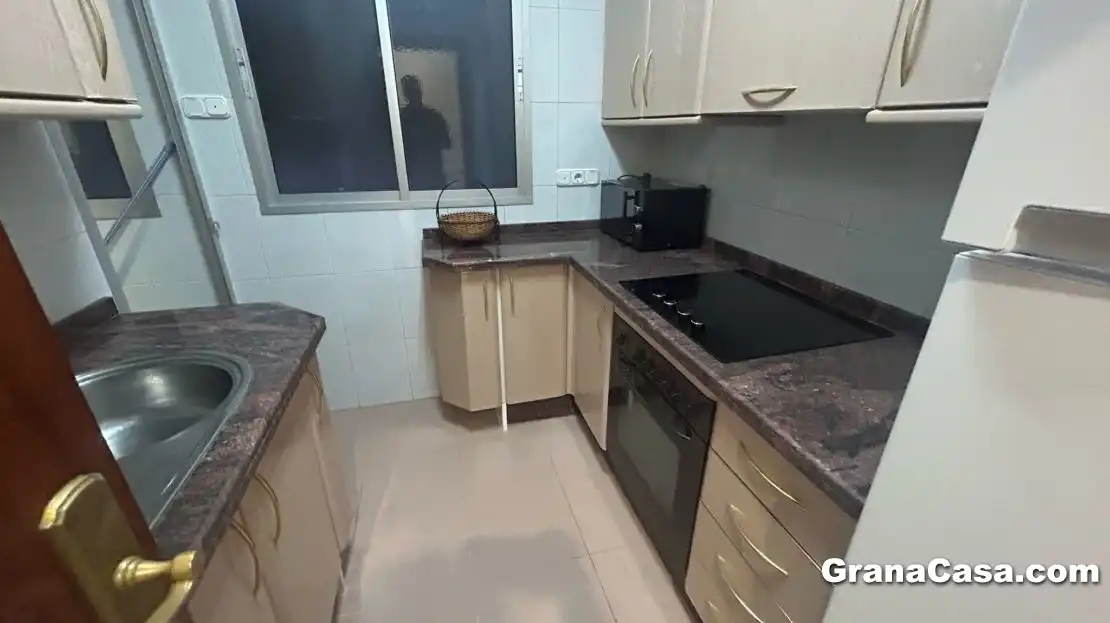 Cuina de Pis de lloguer en Granada amb Aire condicionat, Calefacció i Moblat