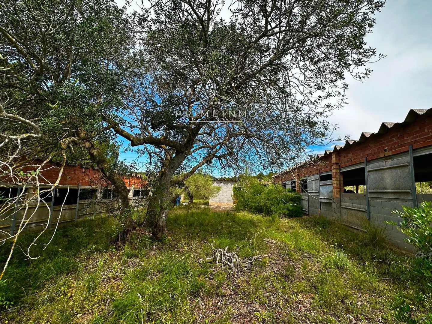 Terreno rústico en venta en Tivissa
