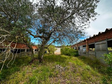 Terreny rústic en venda a Tivissa