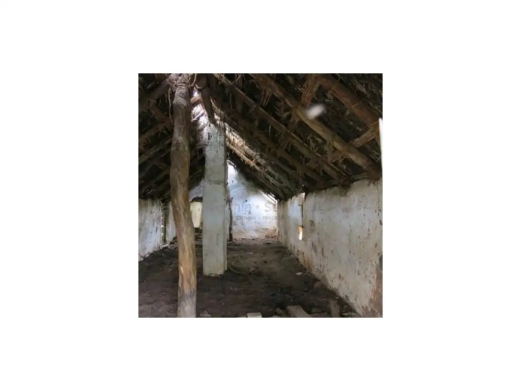 Finca rústica en venta en Estepona