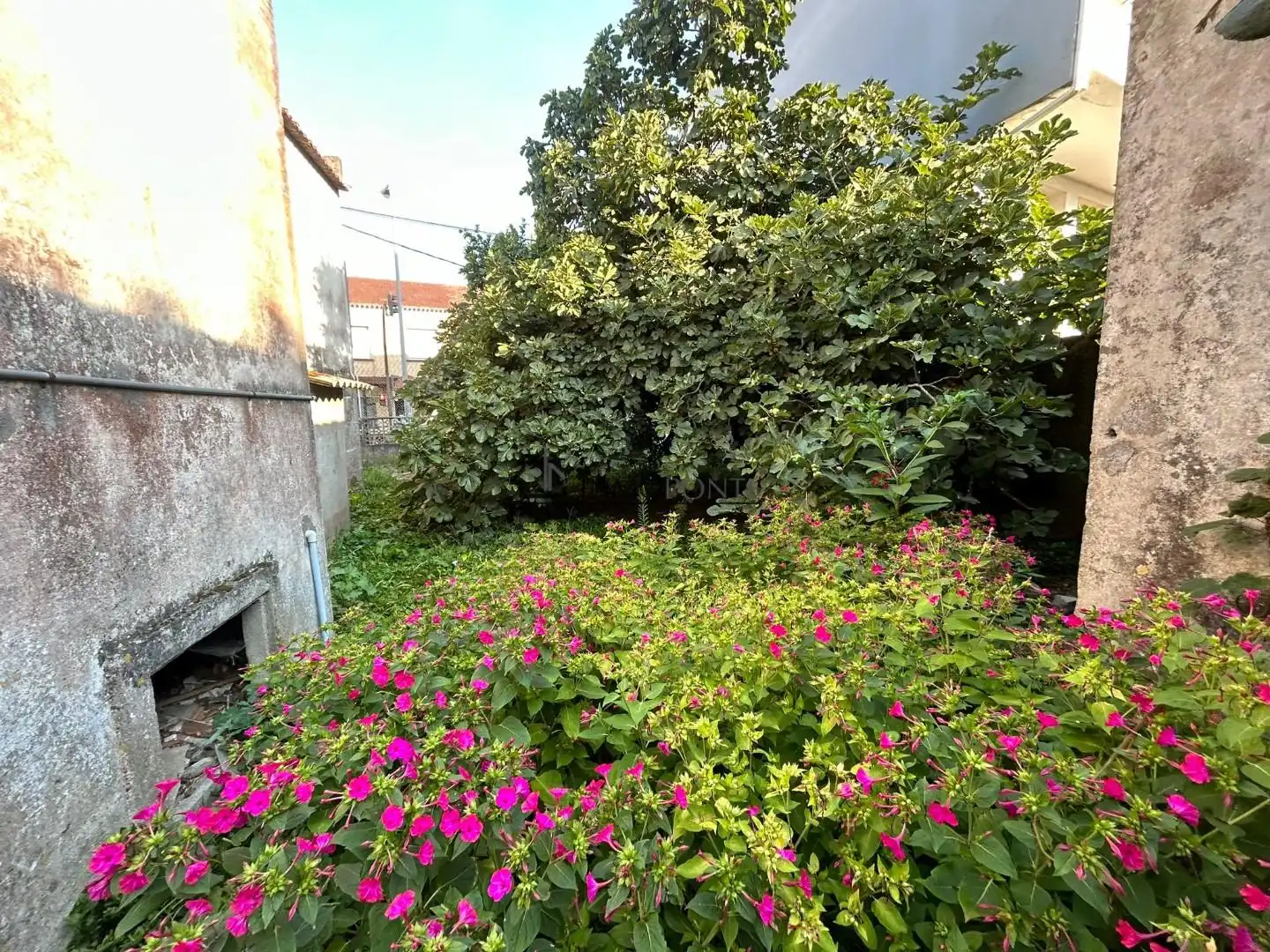 Haus mit Garten zum Verkauf in AO CAMPO, imagen 20