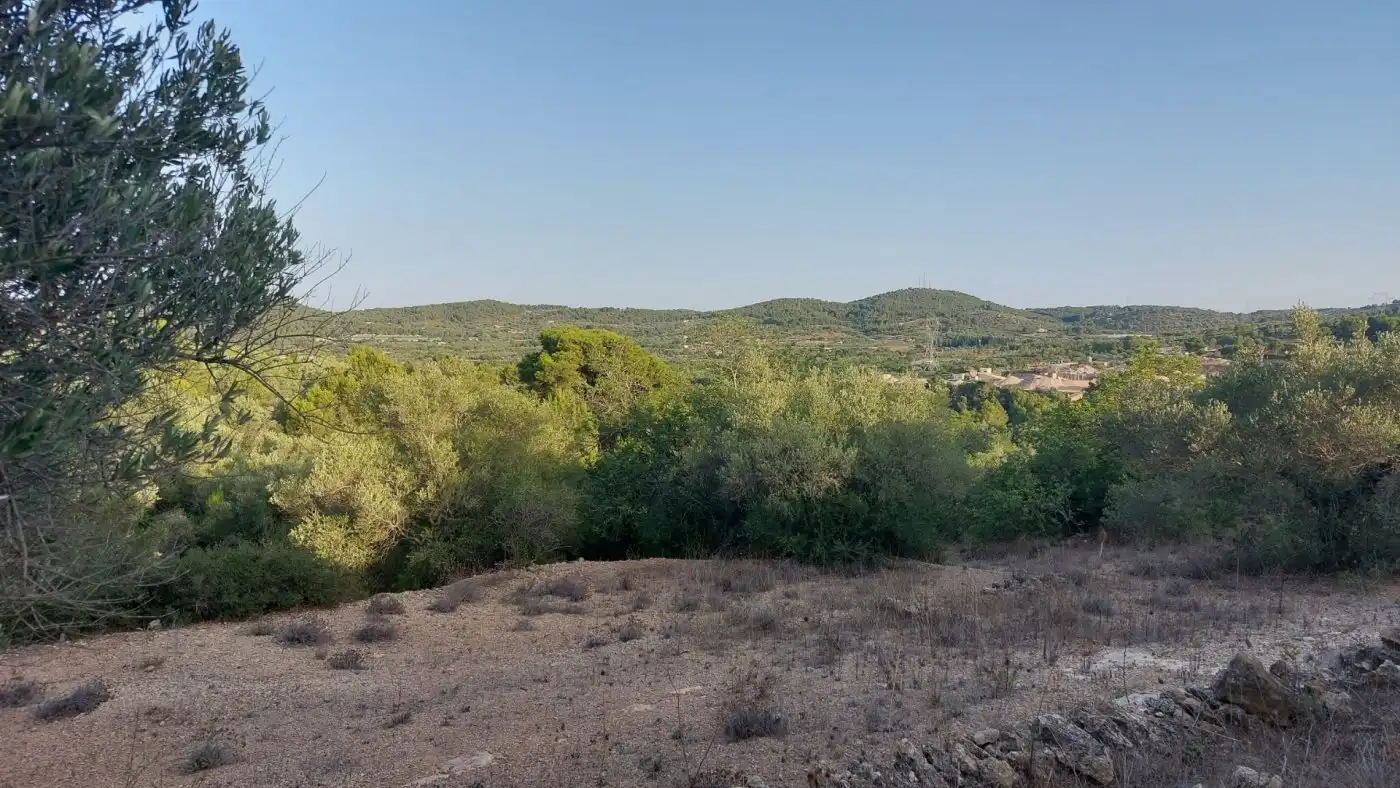 Terreno rustico in vendita a El Perelló, imagen 10