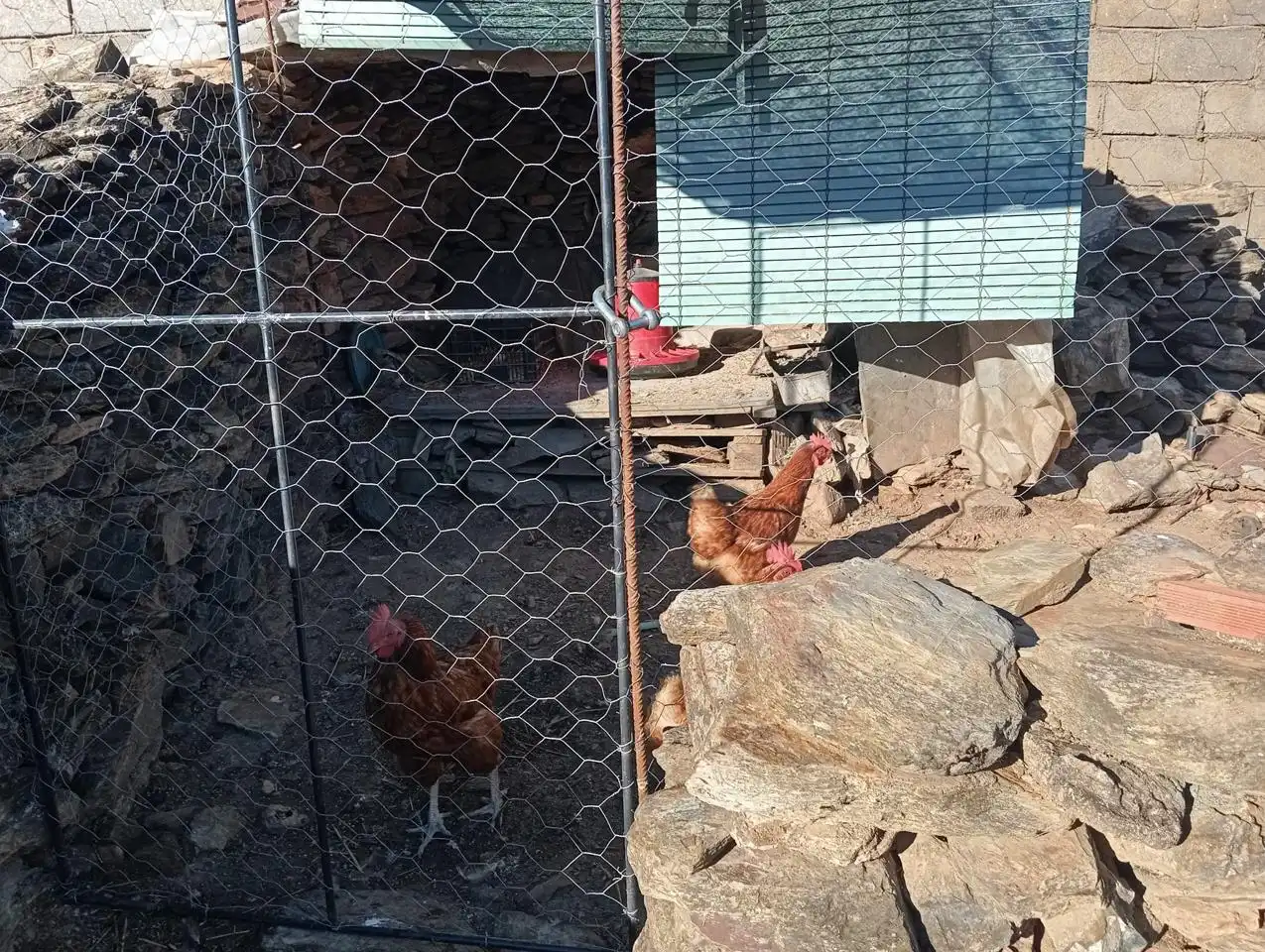 Vista exterior de Casa adosada en venda en Zahínos